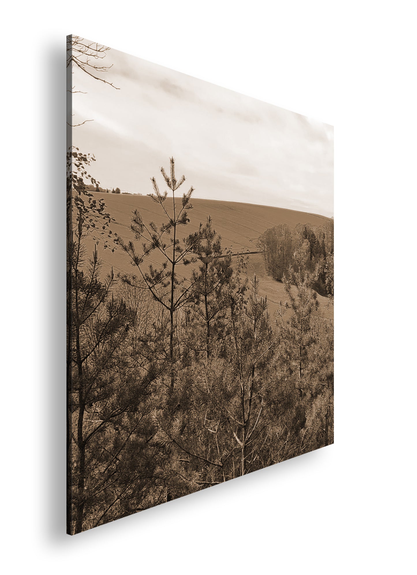 Hauptbild Sepia Quadratisch