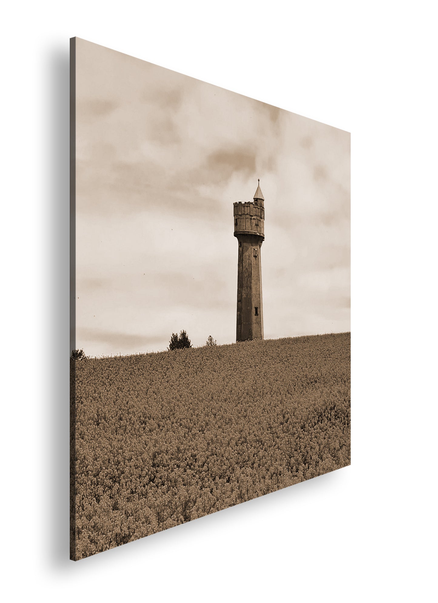 Hauptbild Sepia Quadratisch