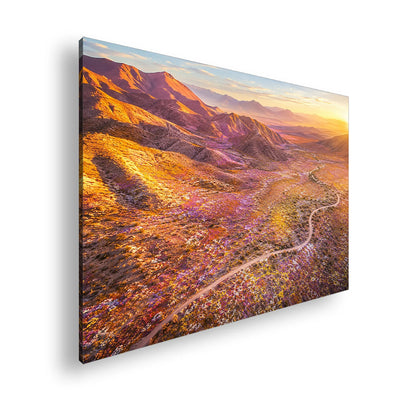 Hauptbild Farbig Standart