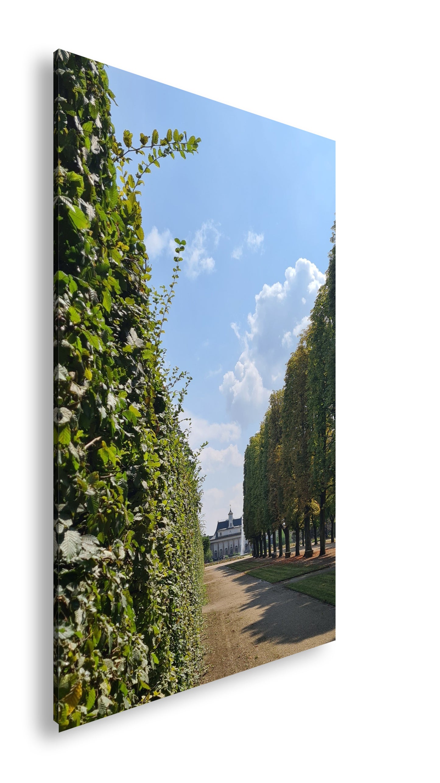 Hauptbild Farbig Standart