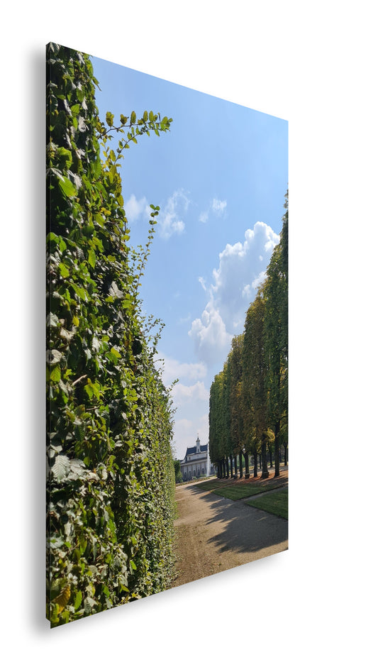 Hauptbild Farbig Standart