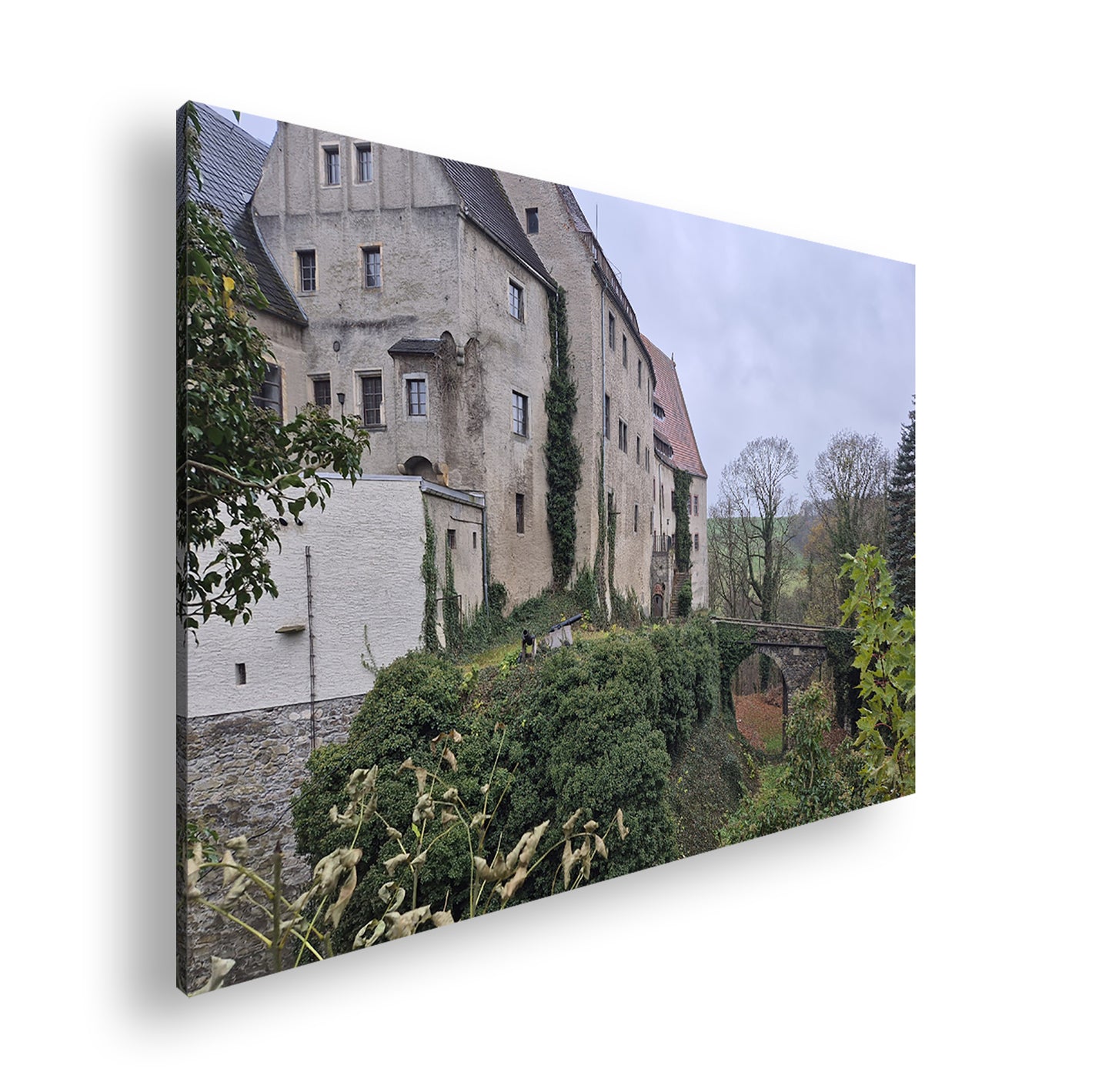 Hauptbild Farbig Standart