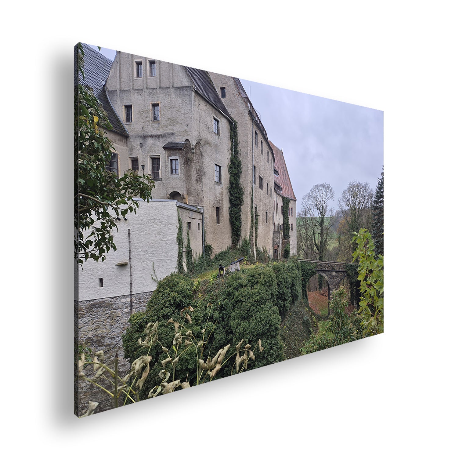 Hauptbild Farbig Standart