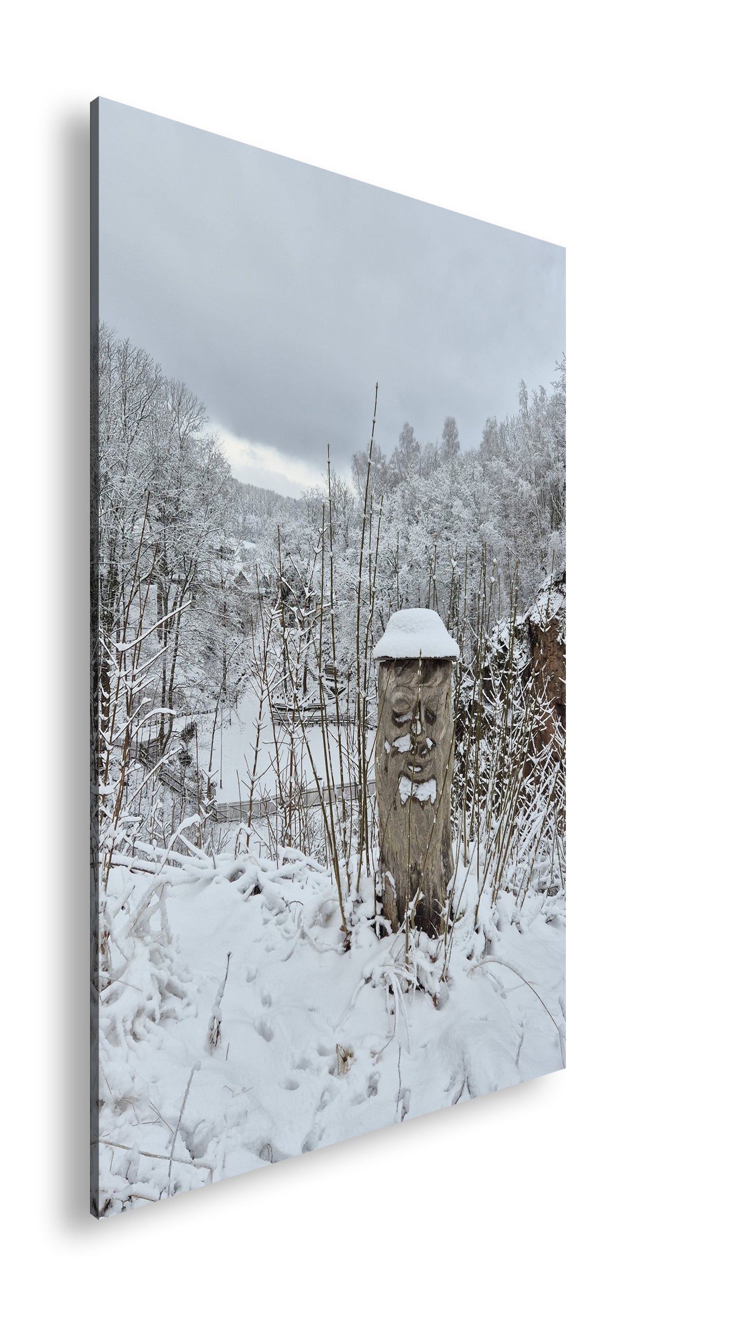 Hauptbild Farbig Standart