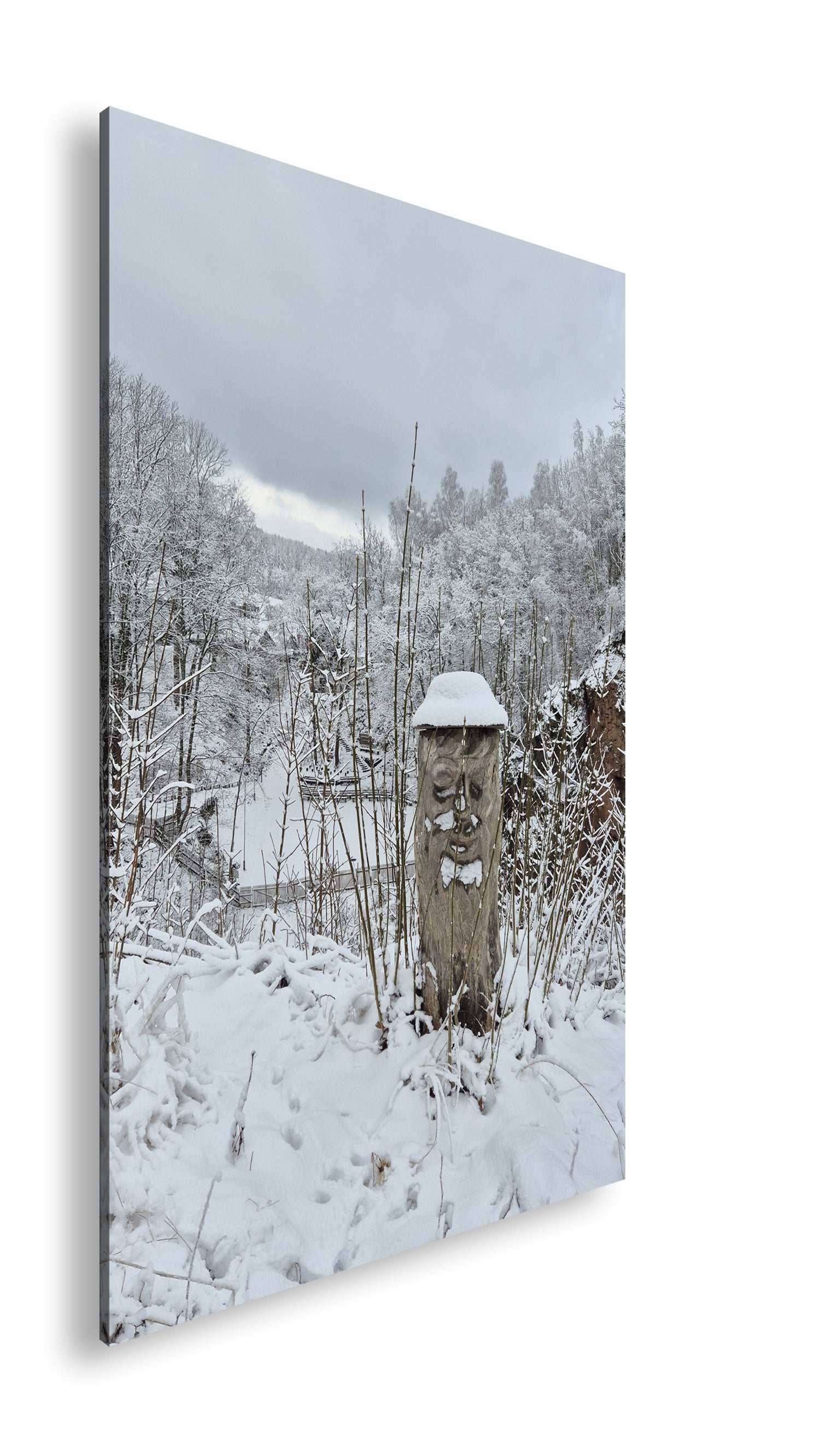 Hauptbild Farbig Standart