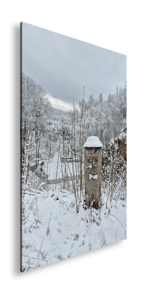 Hauptbild Farbig Standart