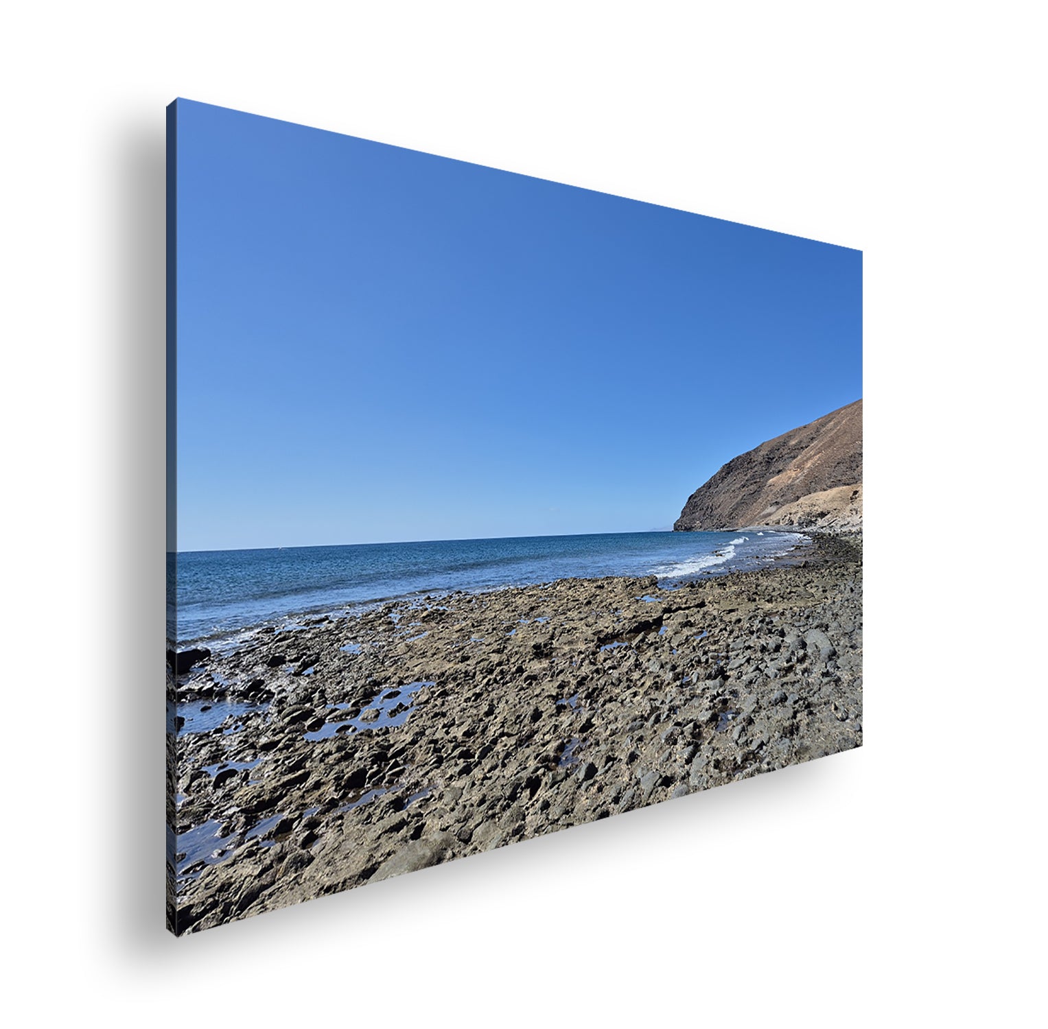 Hauptbild Farbig Standart