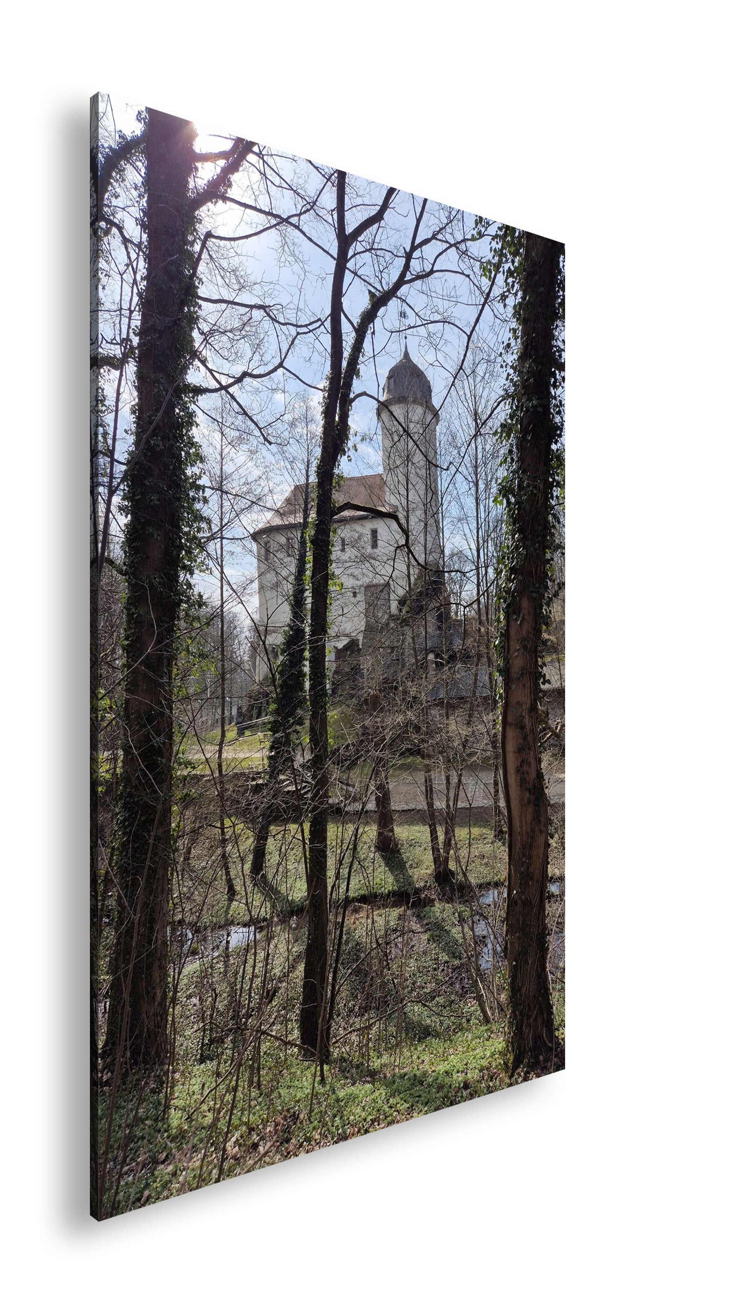 Hauptbild Farbig Standart