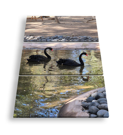 Hauptbild Farbig 3 Teilig