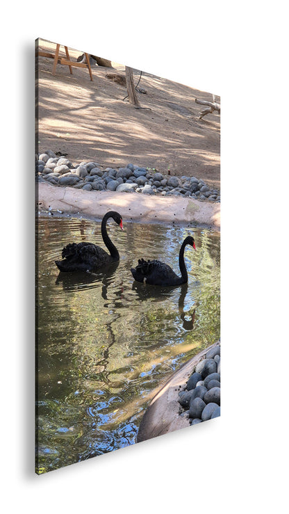 Hauptbild Farbig Standart