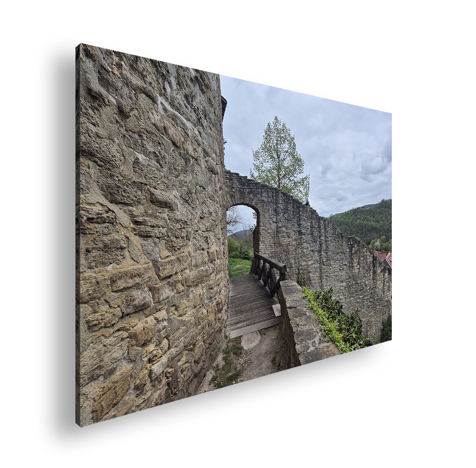 Hauptbild Farbig Standart