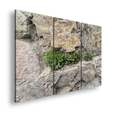 Hauptbild Farbig 3 Teilig