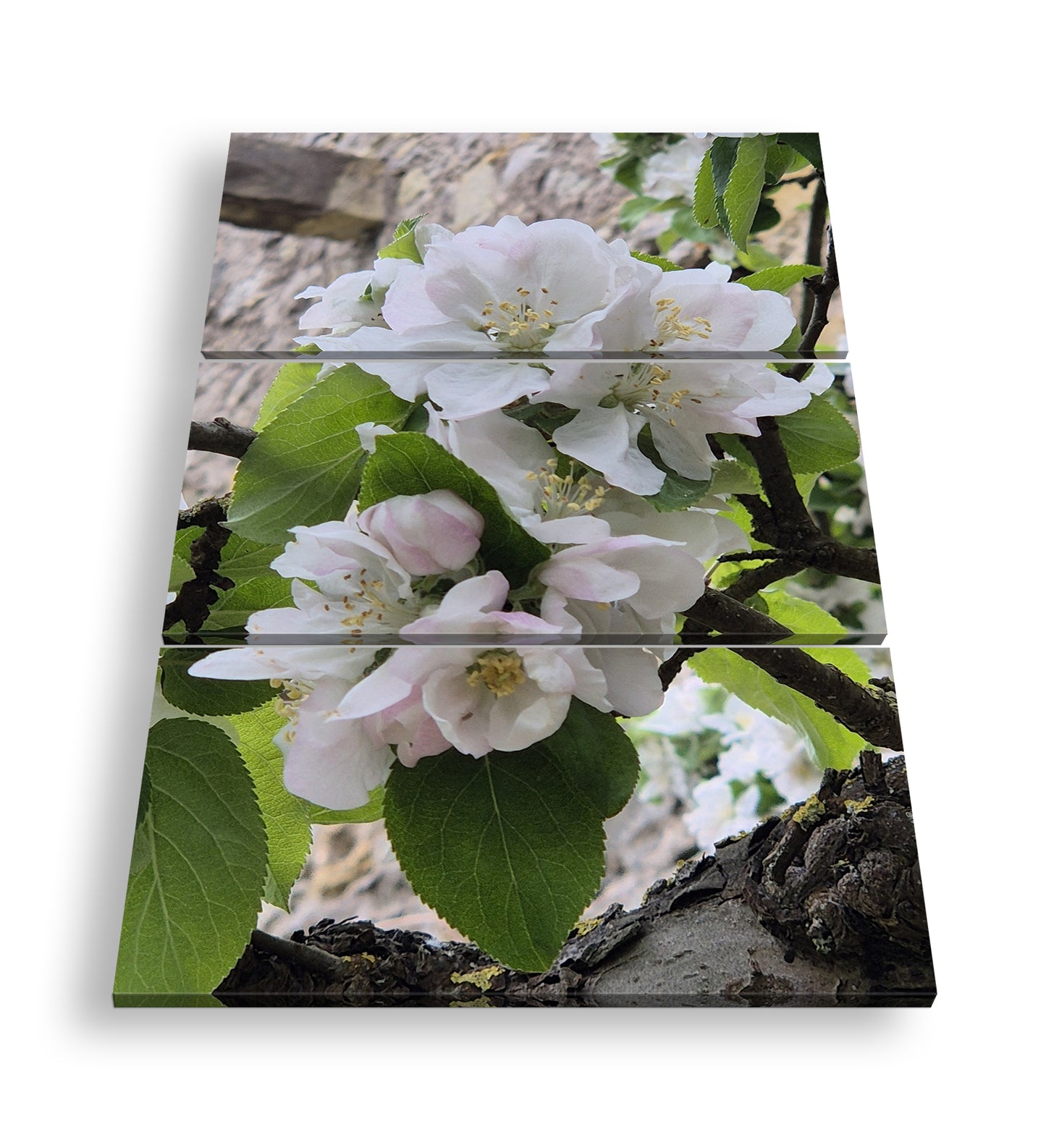 Hauptbild Farbig 3 Teilig