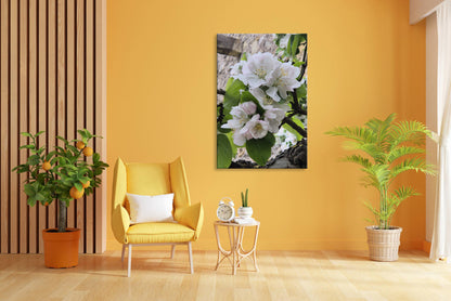 Vorschaubild Wohnzimmerbild 3