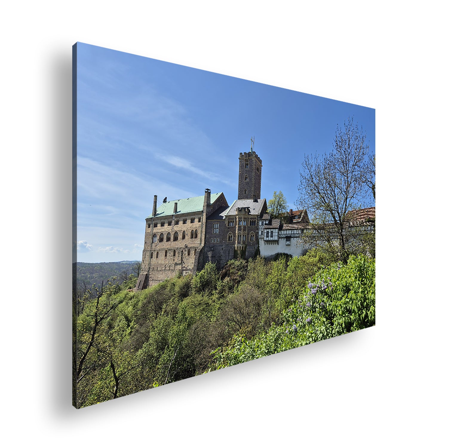 Hauptbild Farbig Standart