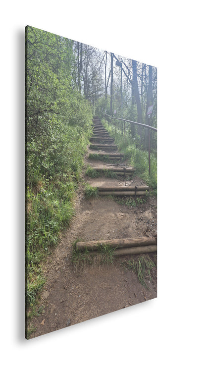 Hauptbild Farbig Standart