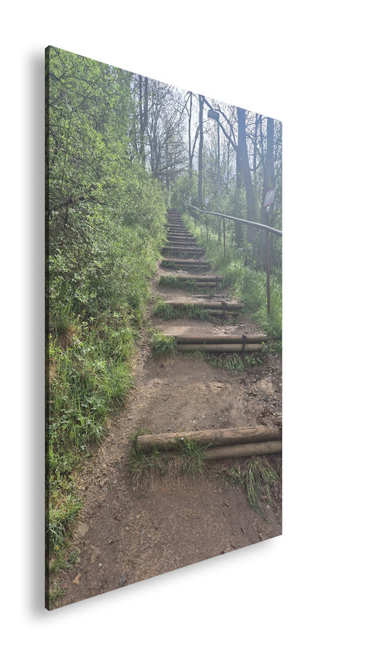 Hauptbild Farbig Standart