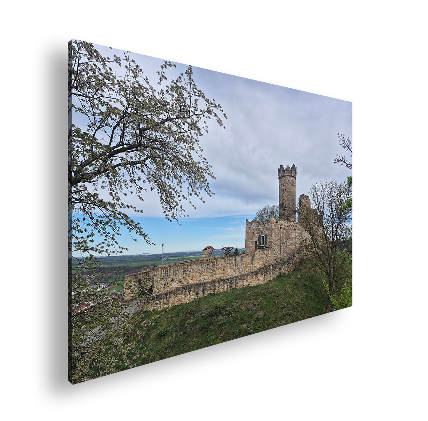 Hauptbild Farbig Standart