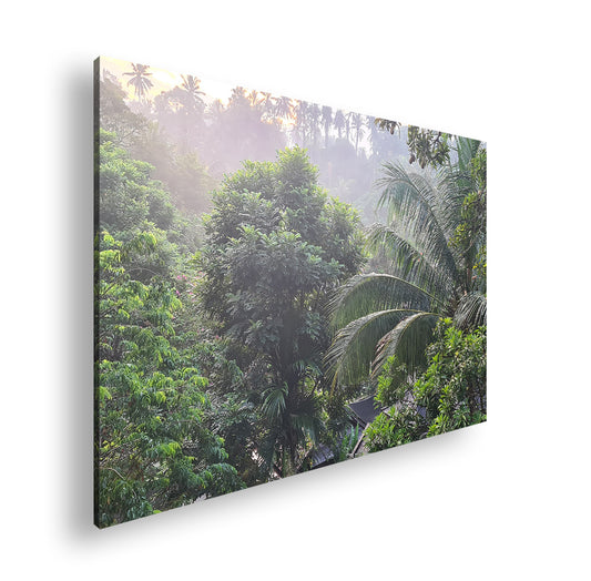 Hauptbild Farbig Standart