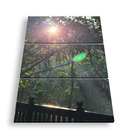 Hauptbild Farbig 3 Teilig