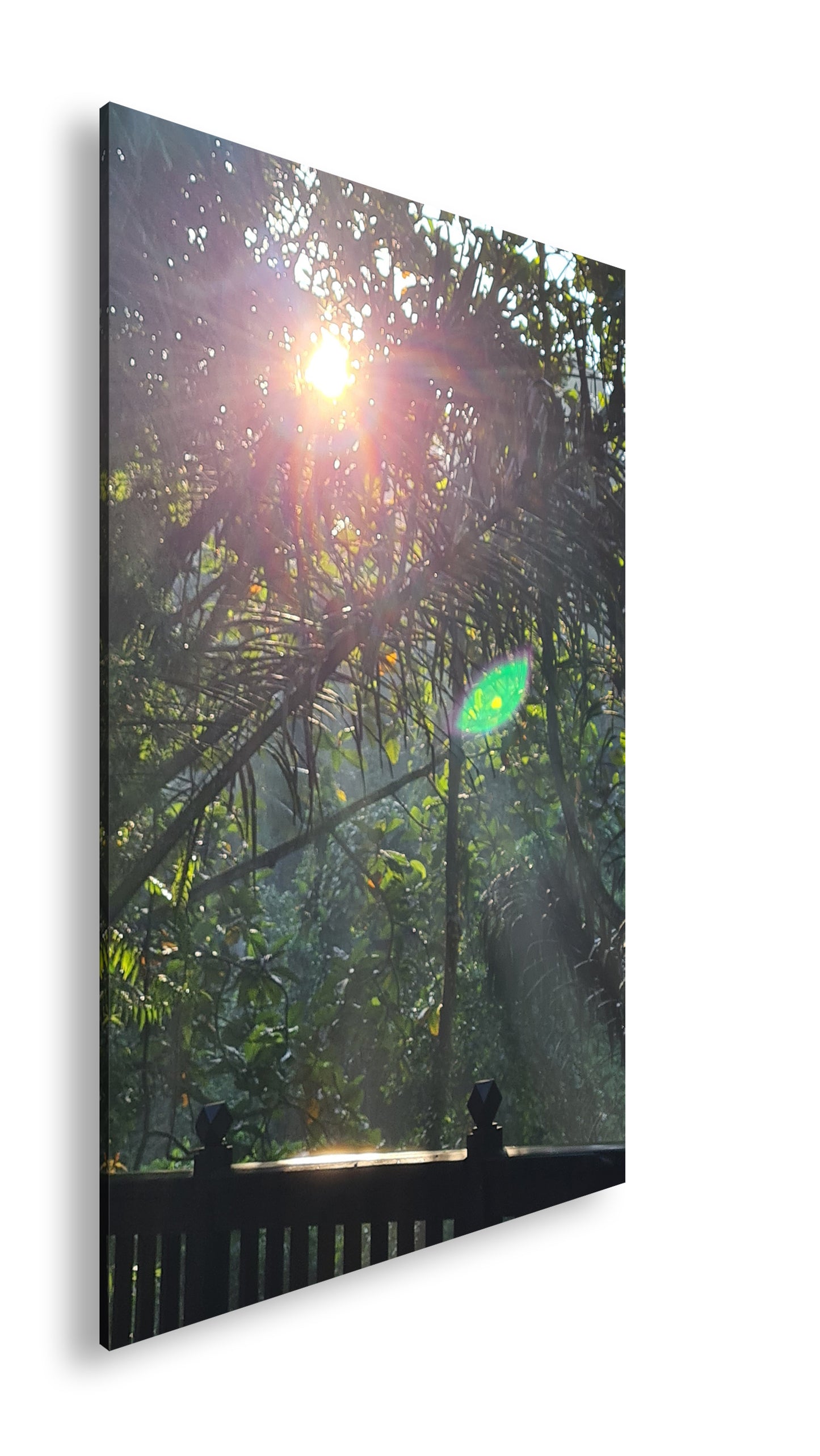 Hauptbild Farbig Standart