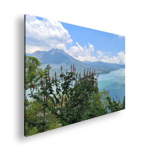 Hauptbild Farbig Standart