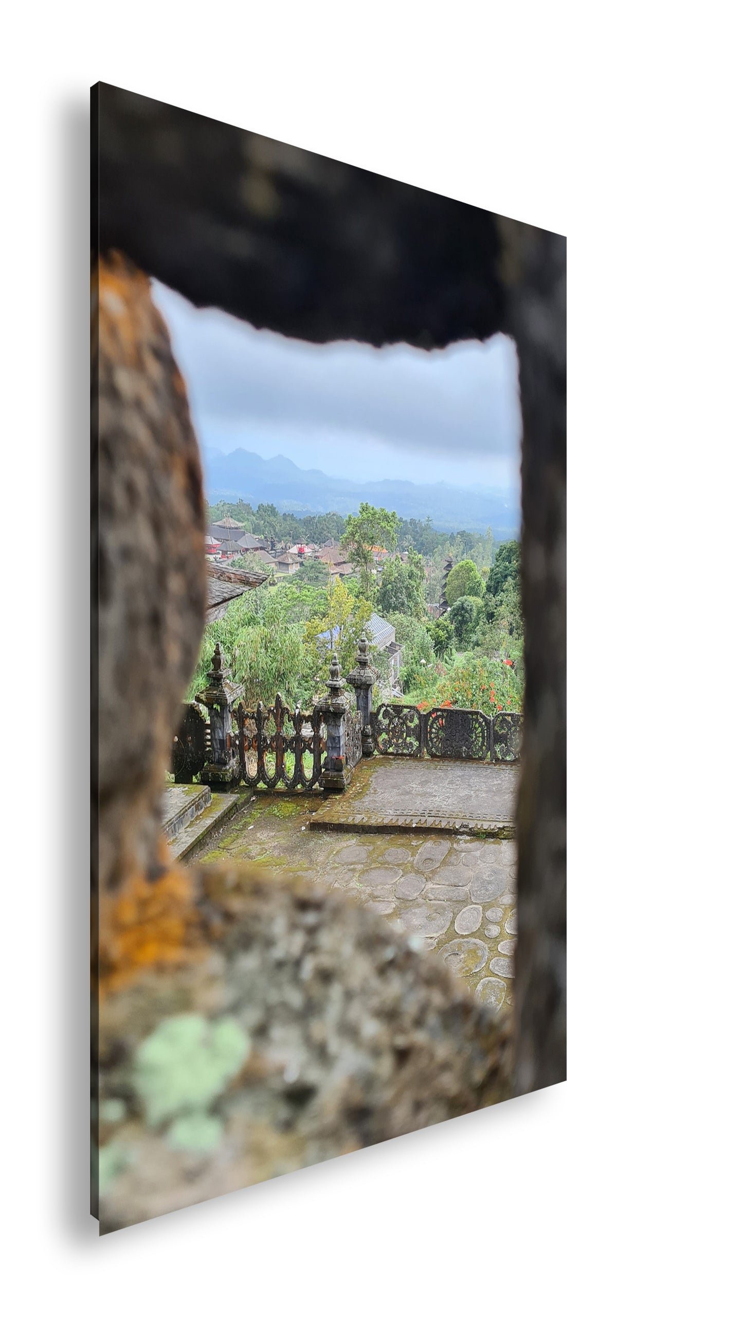 Hauptbild Farbig Standart