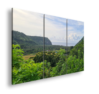 Hauptbild Farbig 3 Teilig