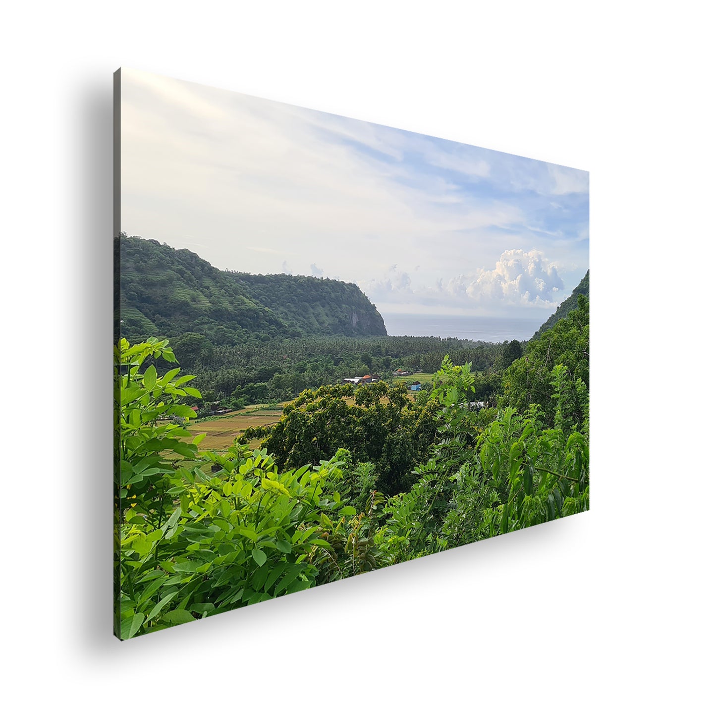 Hauptbild Farbig Standart