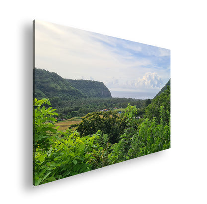 Hauptbild Farbig Standart