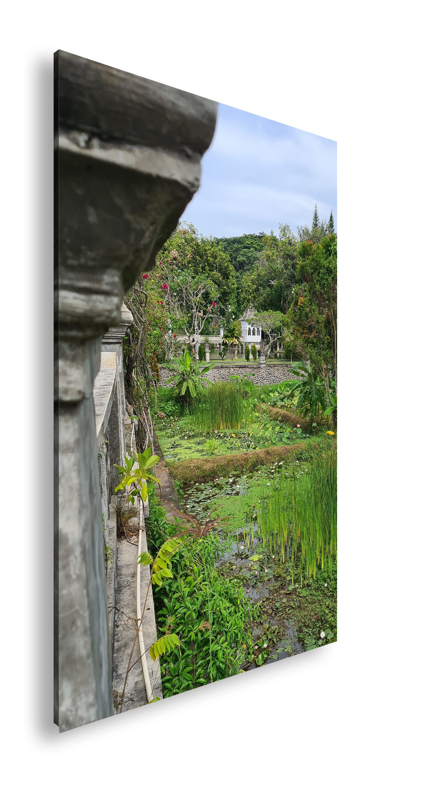 Hauptbild Farbig Standart