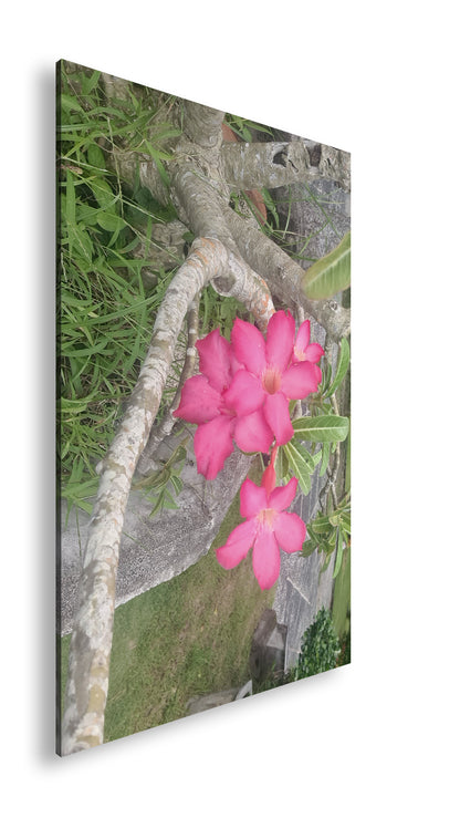 Hauptbild Farbig Standart