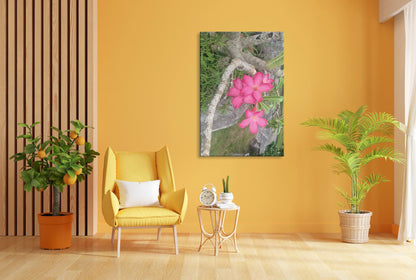 Vorschaubild Wohnzimmerbild 3