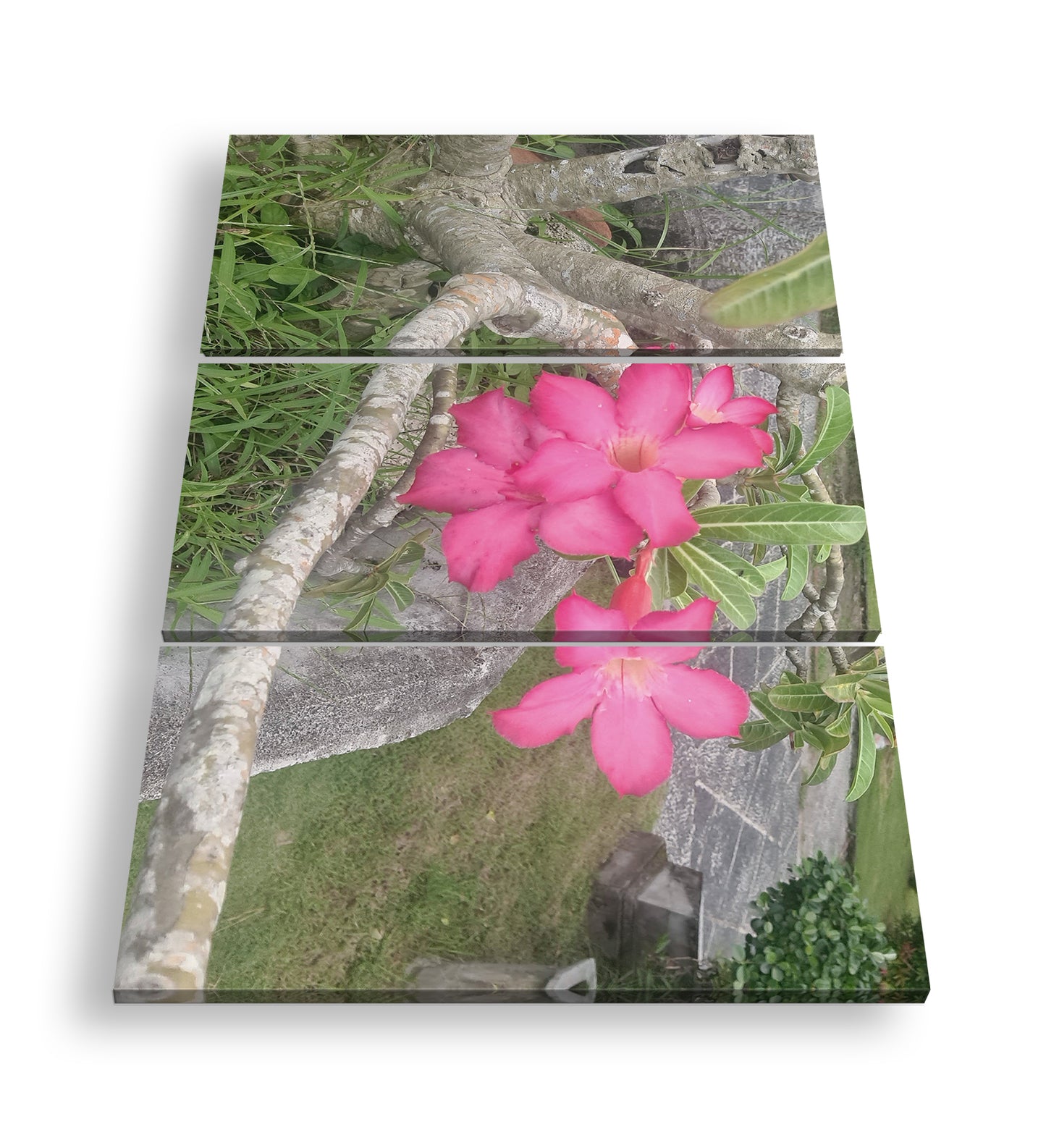 Hauptbild Farbig 3 Teilig