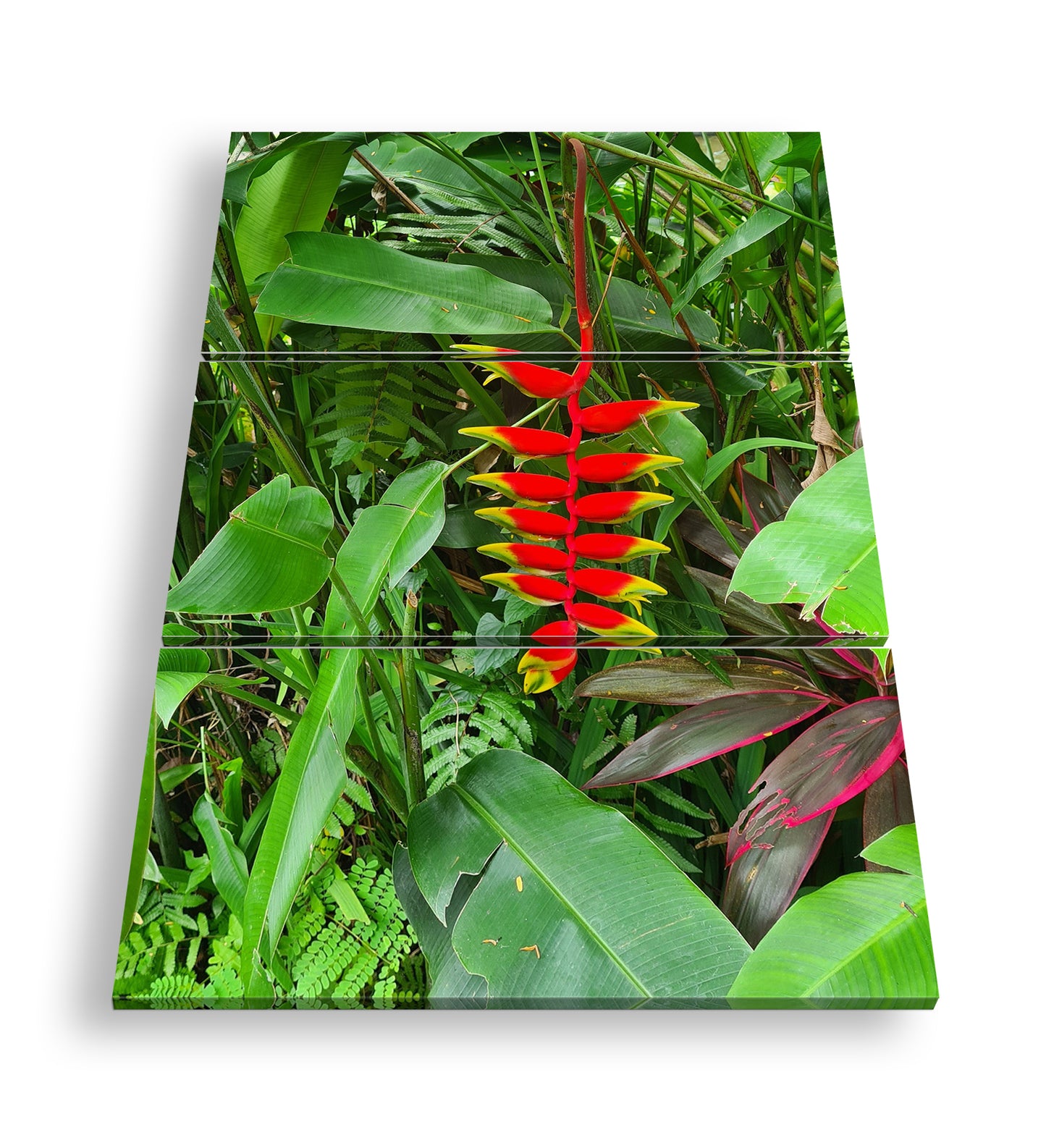 Hauptbild Farbig 3 Teilig