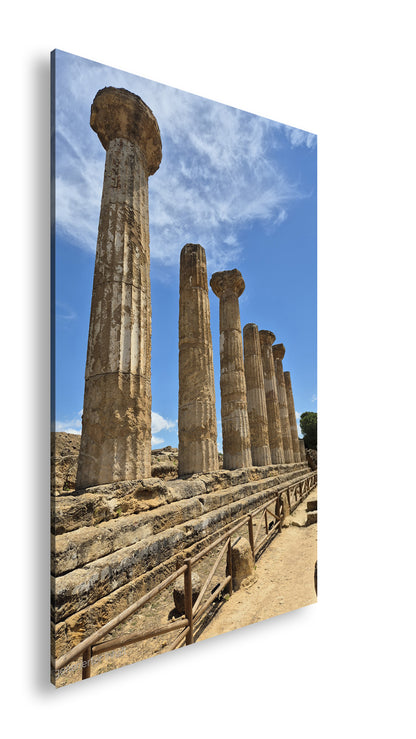 Hauptbild Farbig Standart