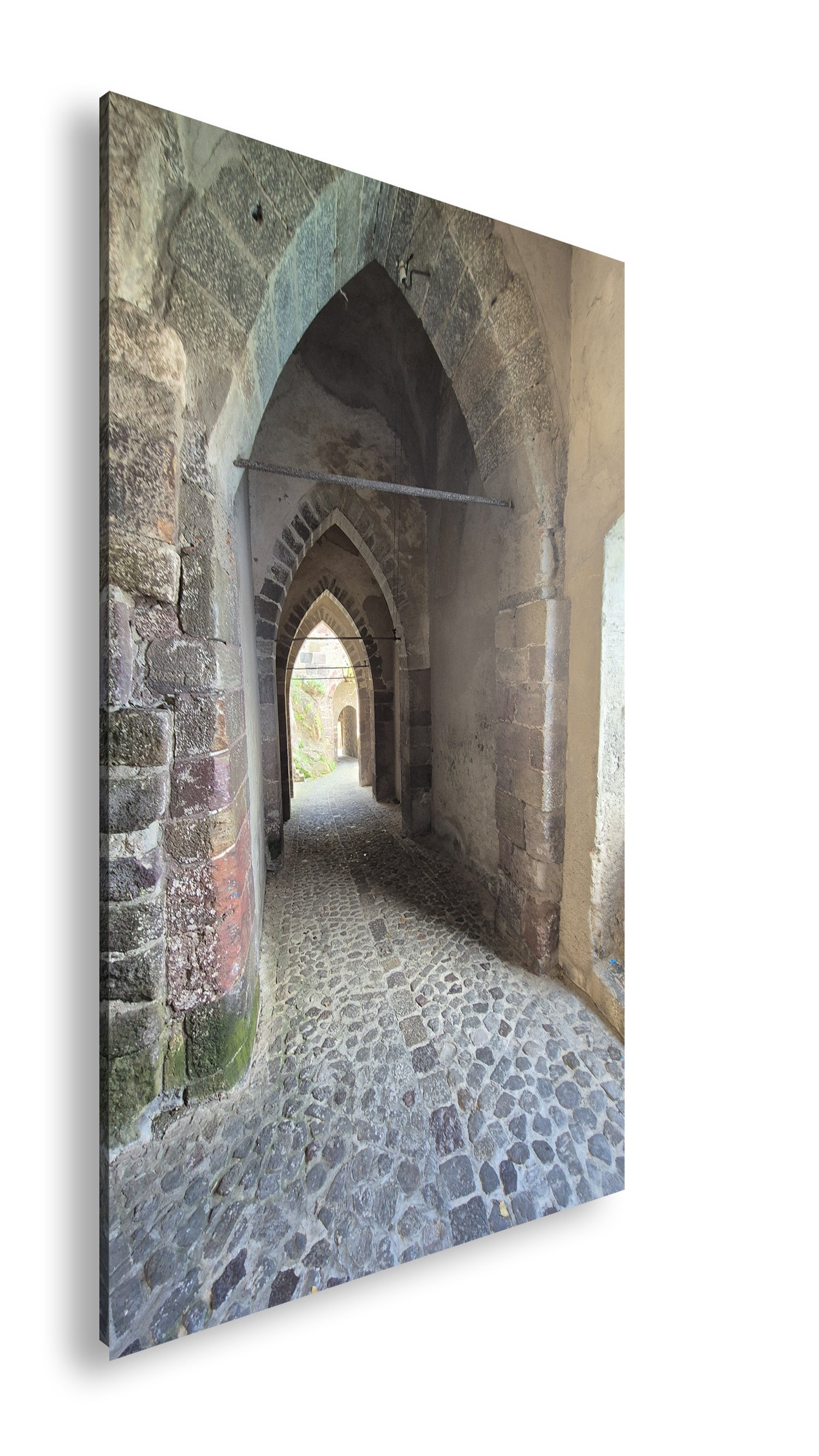 Hauptbild Farbig Standart