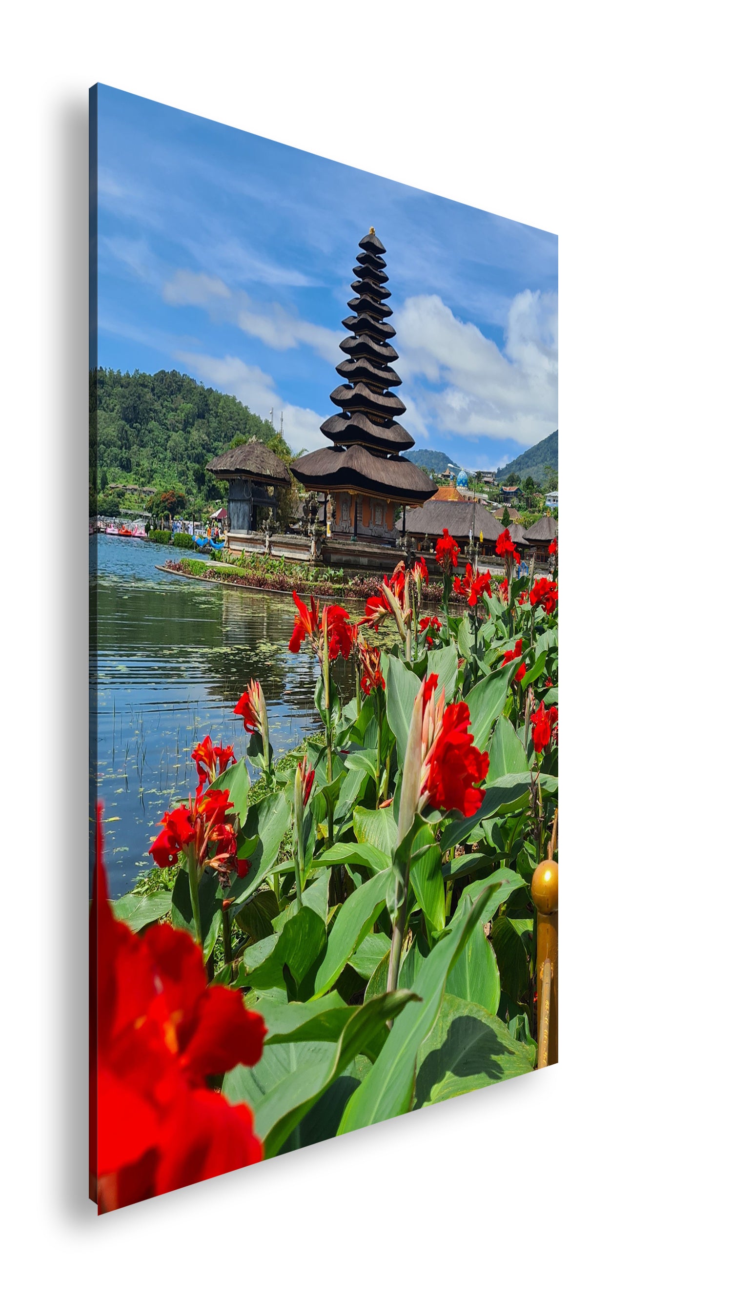 Hauptbild Farbig Standart