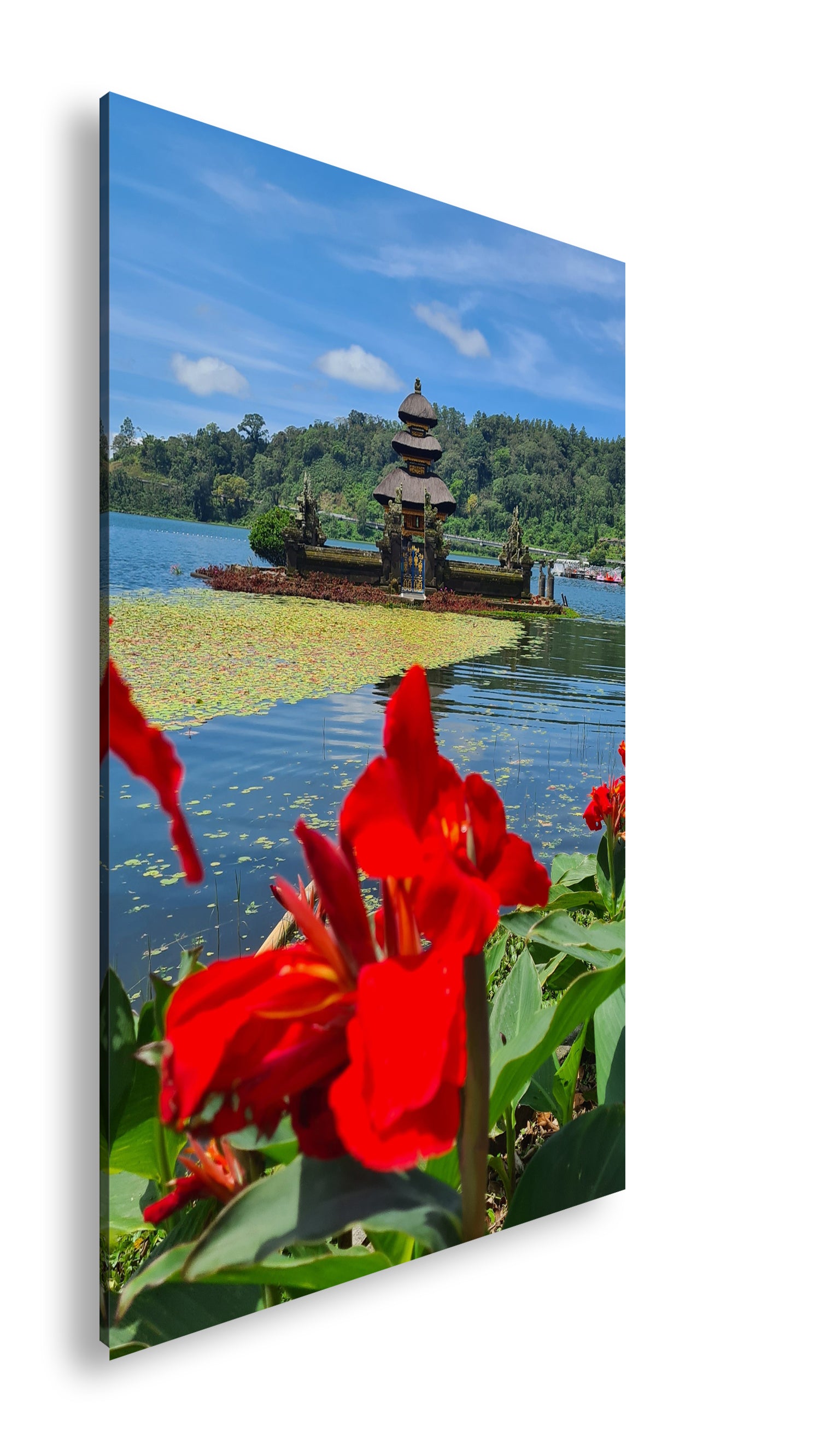 Hauptbild Farbig Standart