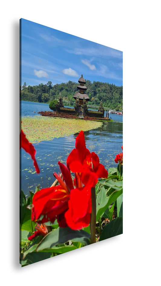 Hauptbild Farbig Standart