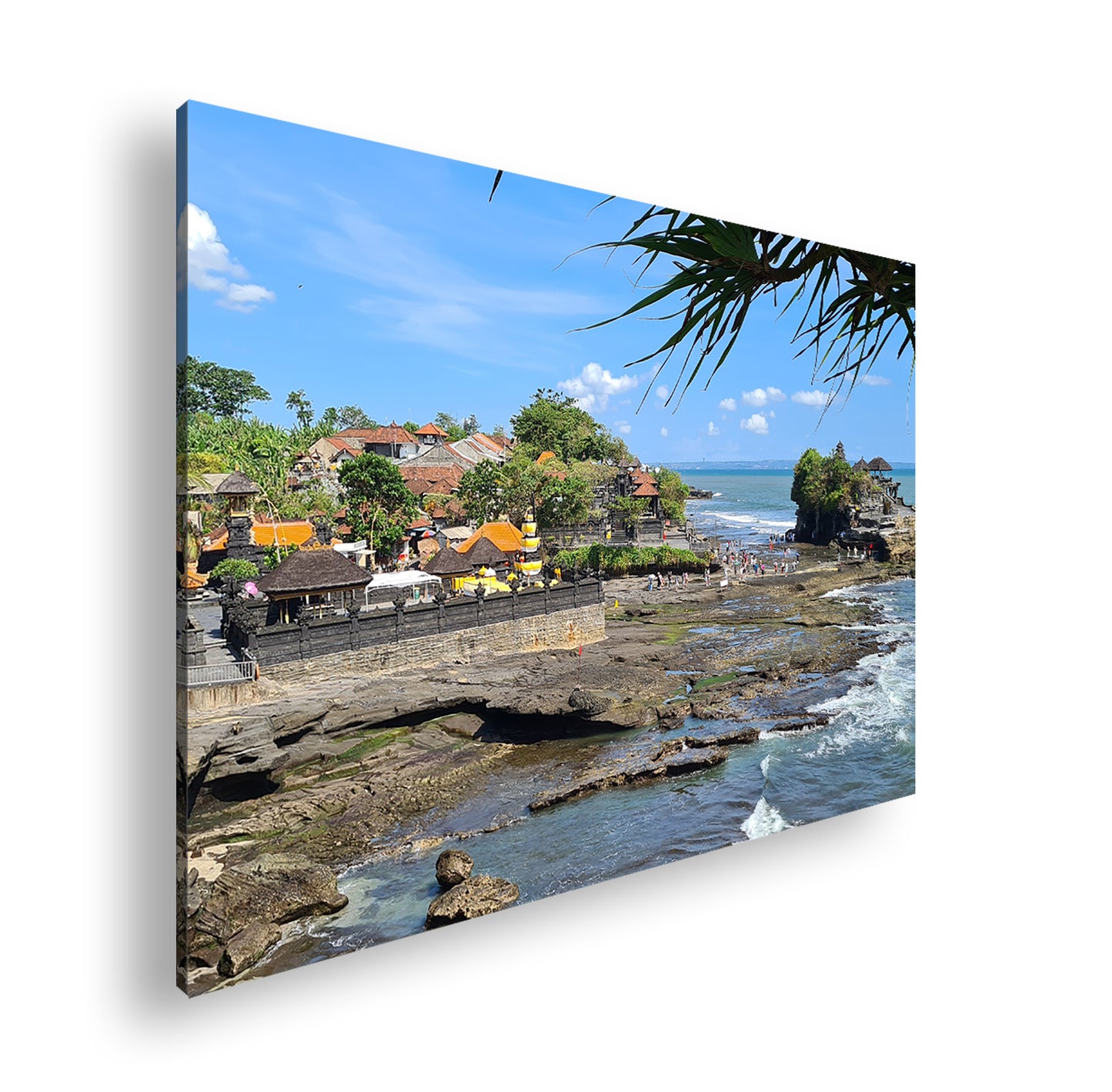 Hauptbild Farbig Standart