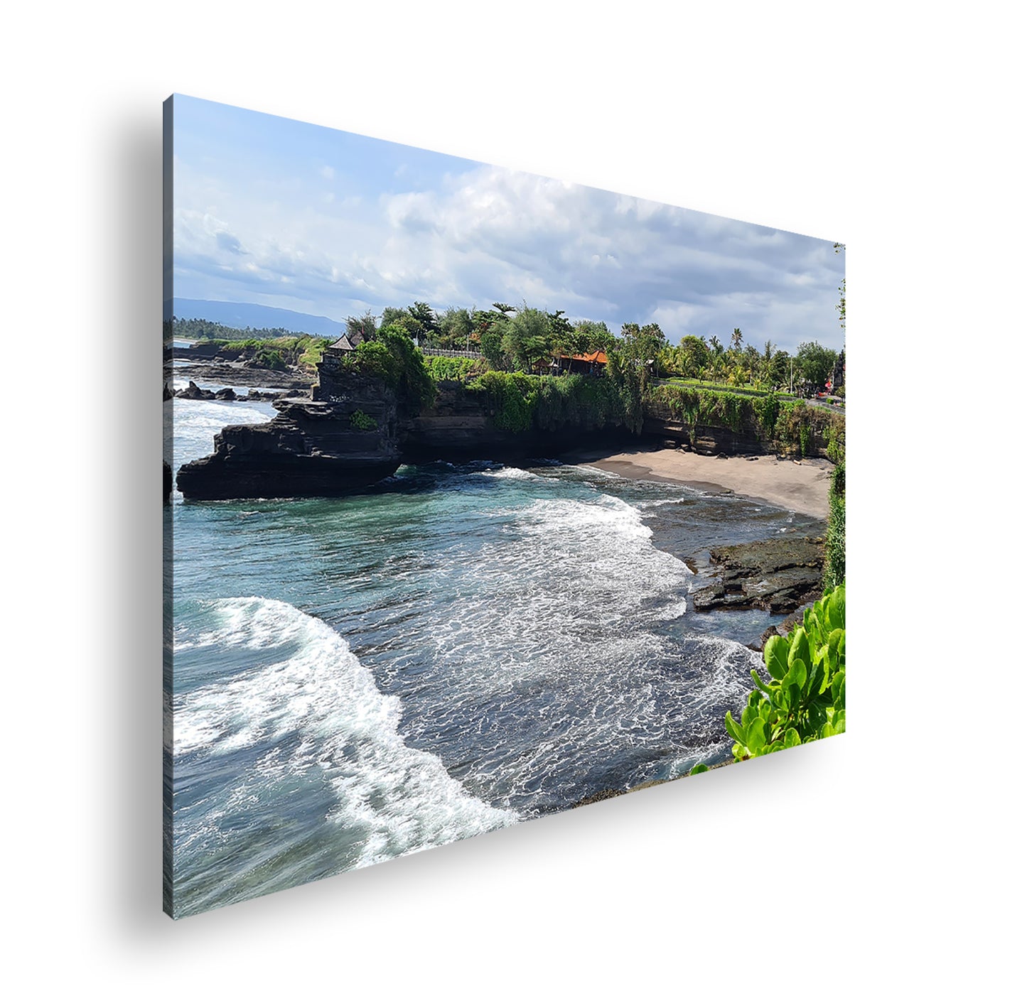 Hauptbild Farbig Standart