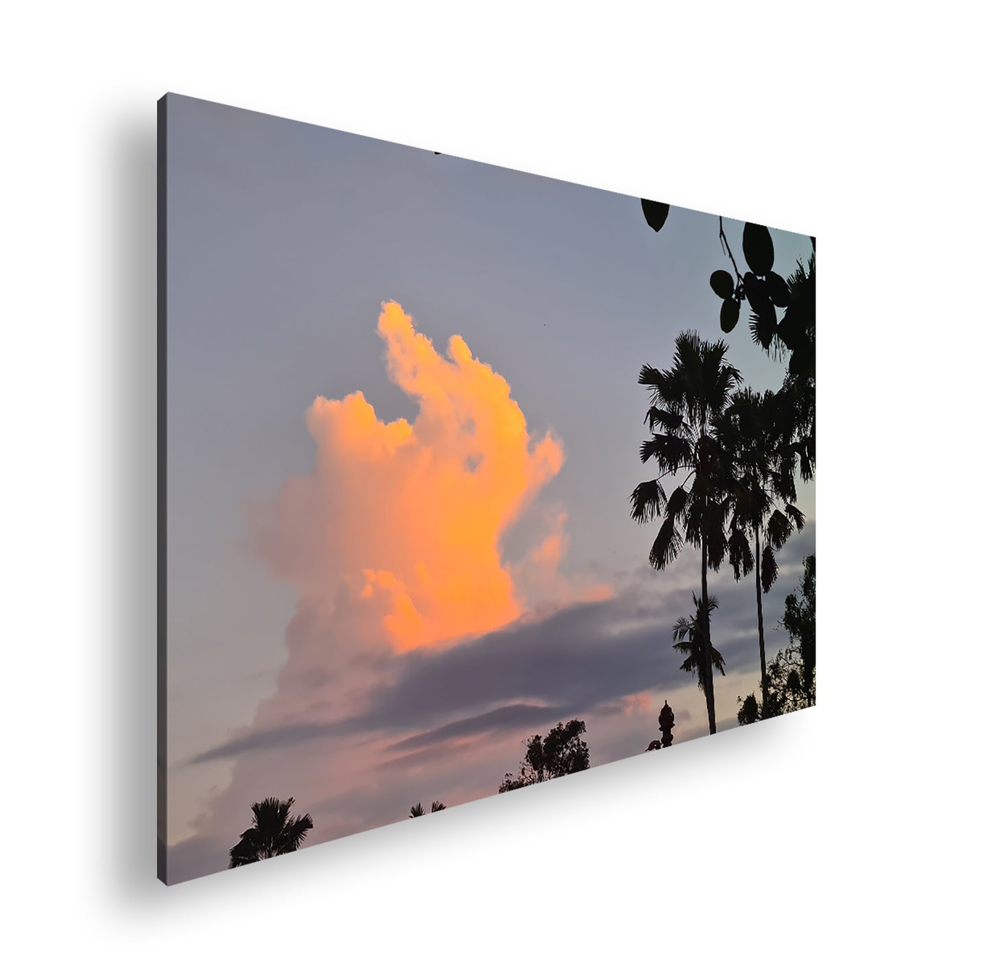 Hauptbild Farbig Standart