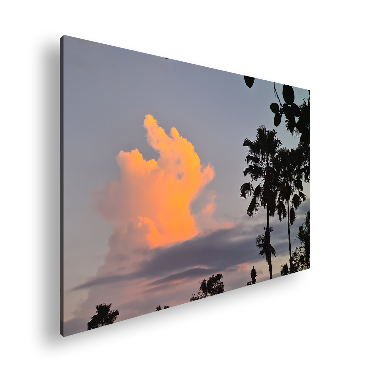 Hauptbild Farbig Standart