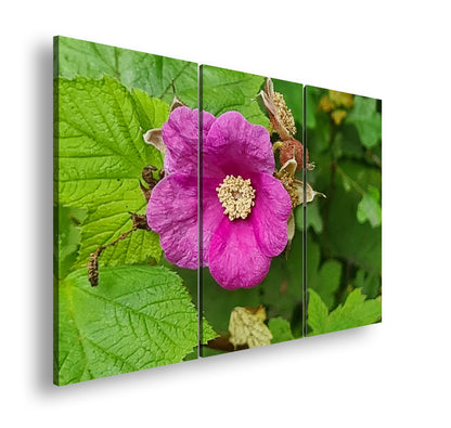 Hauptbild Farbig 3 Teilig