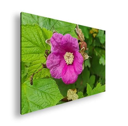 Hauptbild Farbig Standart