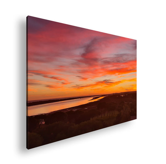 Hauptbild Farbig Standart