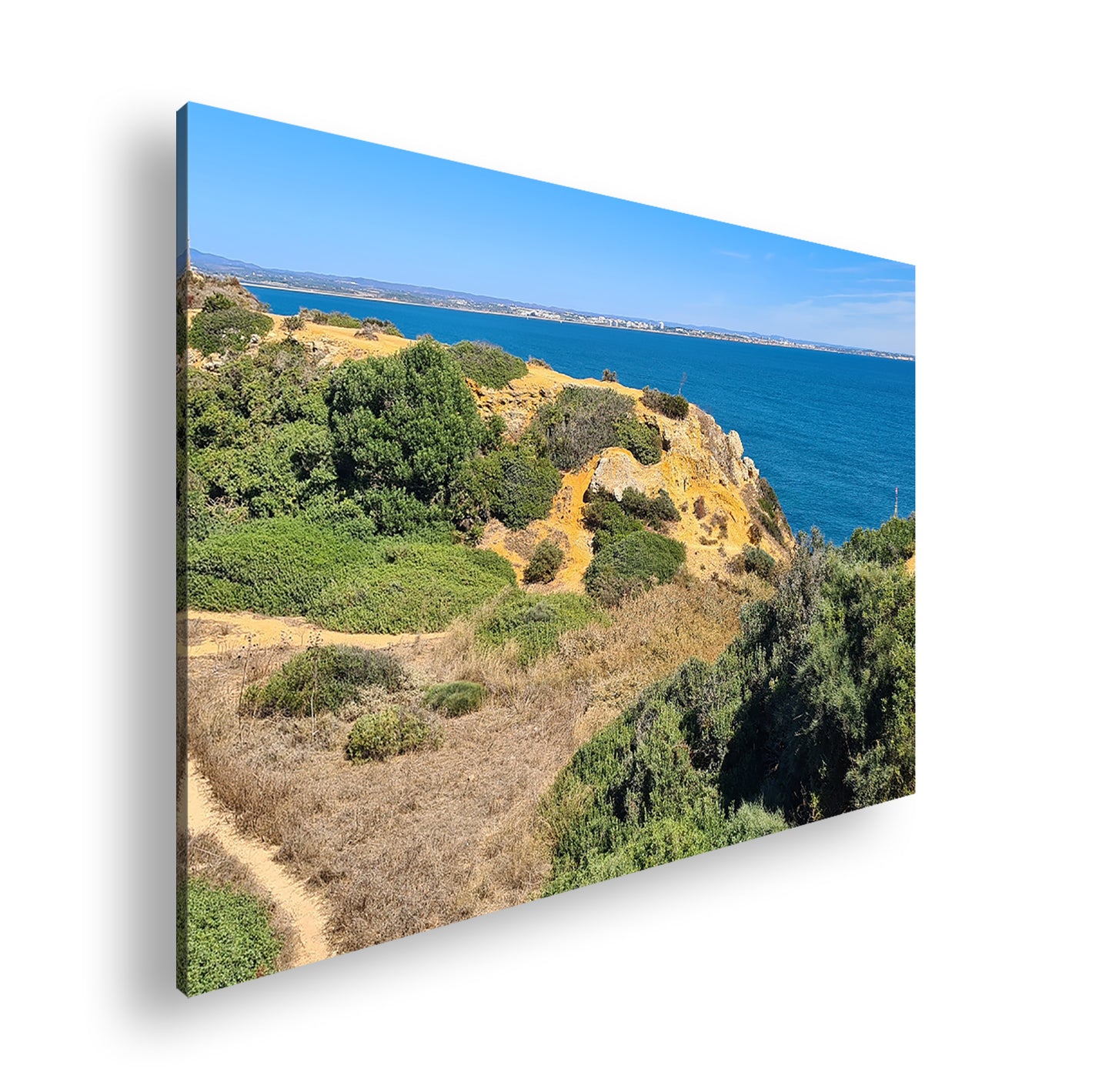 Hauptbild Farbig Standart