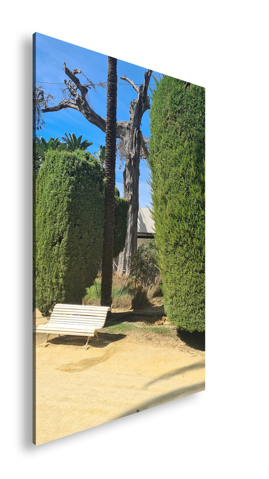 Hauptbild Farbig Standart