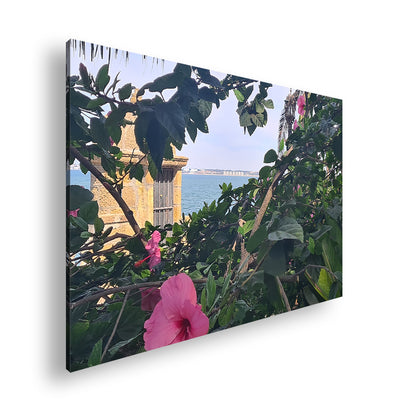 Hauptbild Farbig Standart